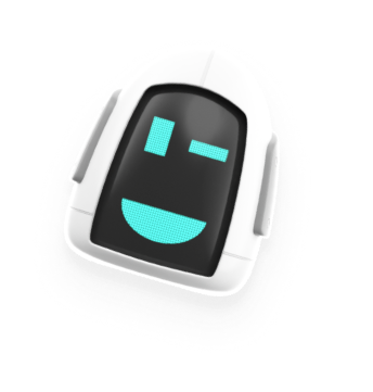 Head Robot